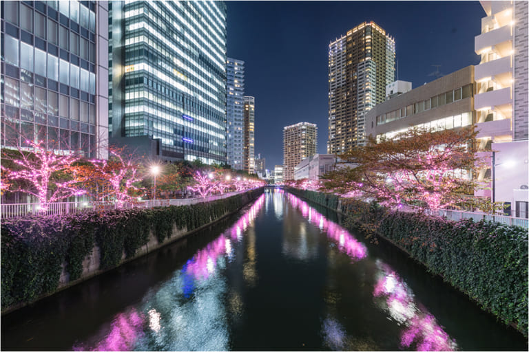 Tokyo Winter Illumination Guide 20232024 Japan Web Magazine
