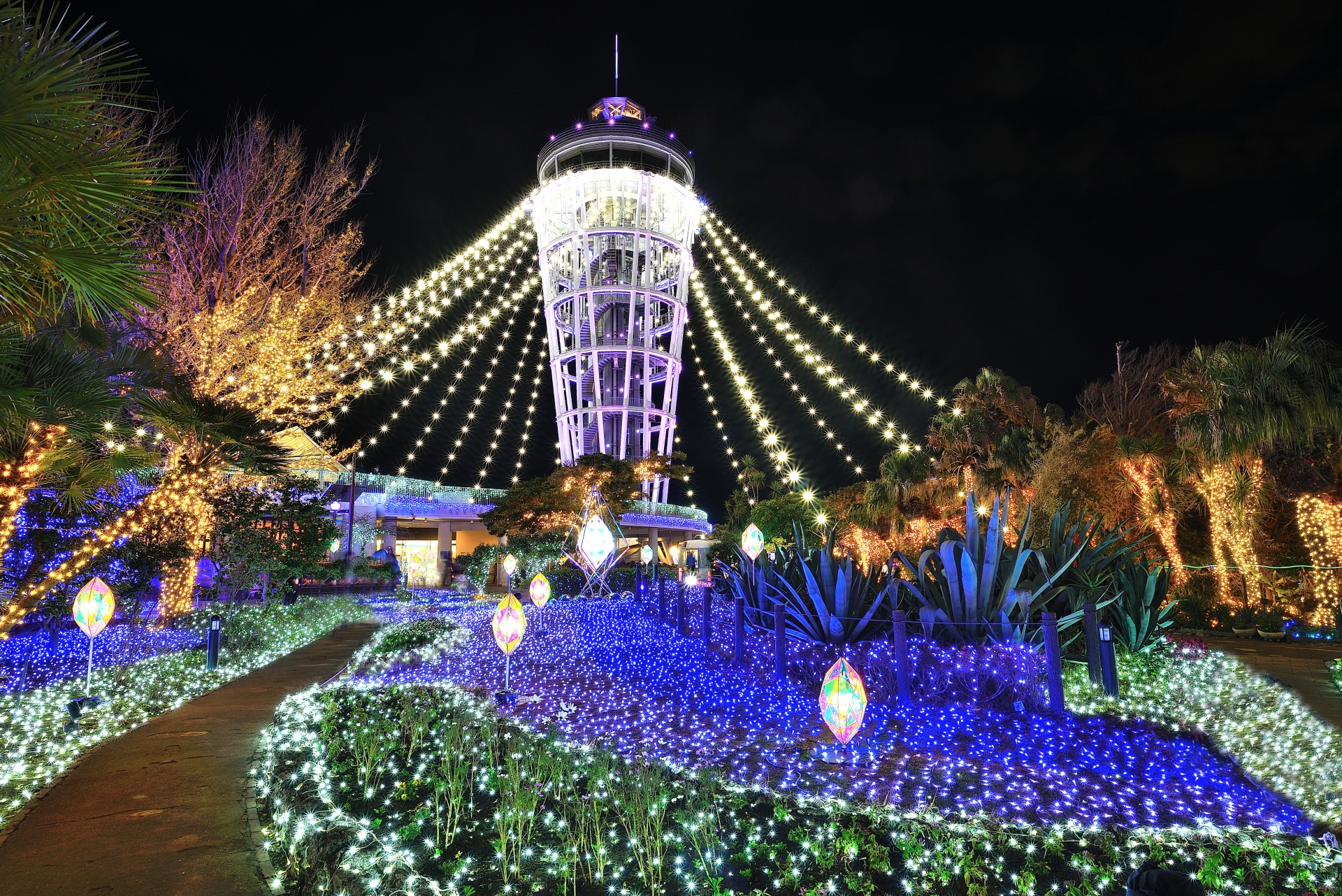 Enoshima Winter Illumination: the Jewel of Shonan