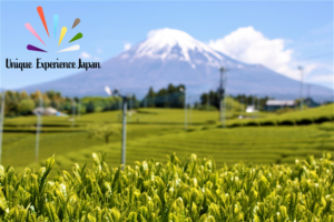 Best Green Teas in Japan