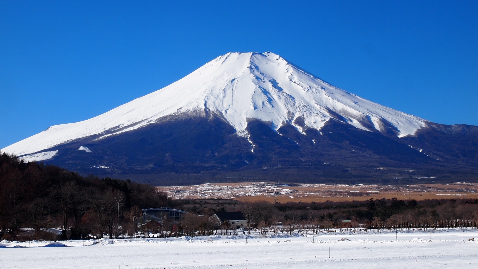 Mt.Fuji in inverno