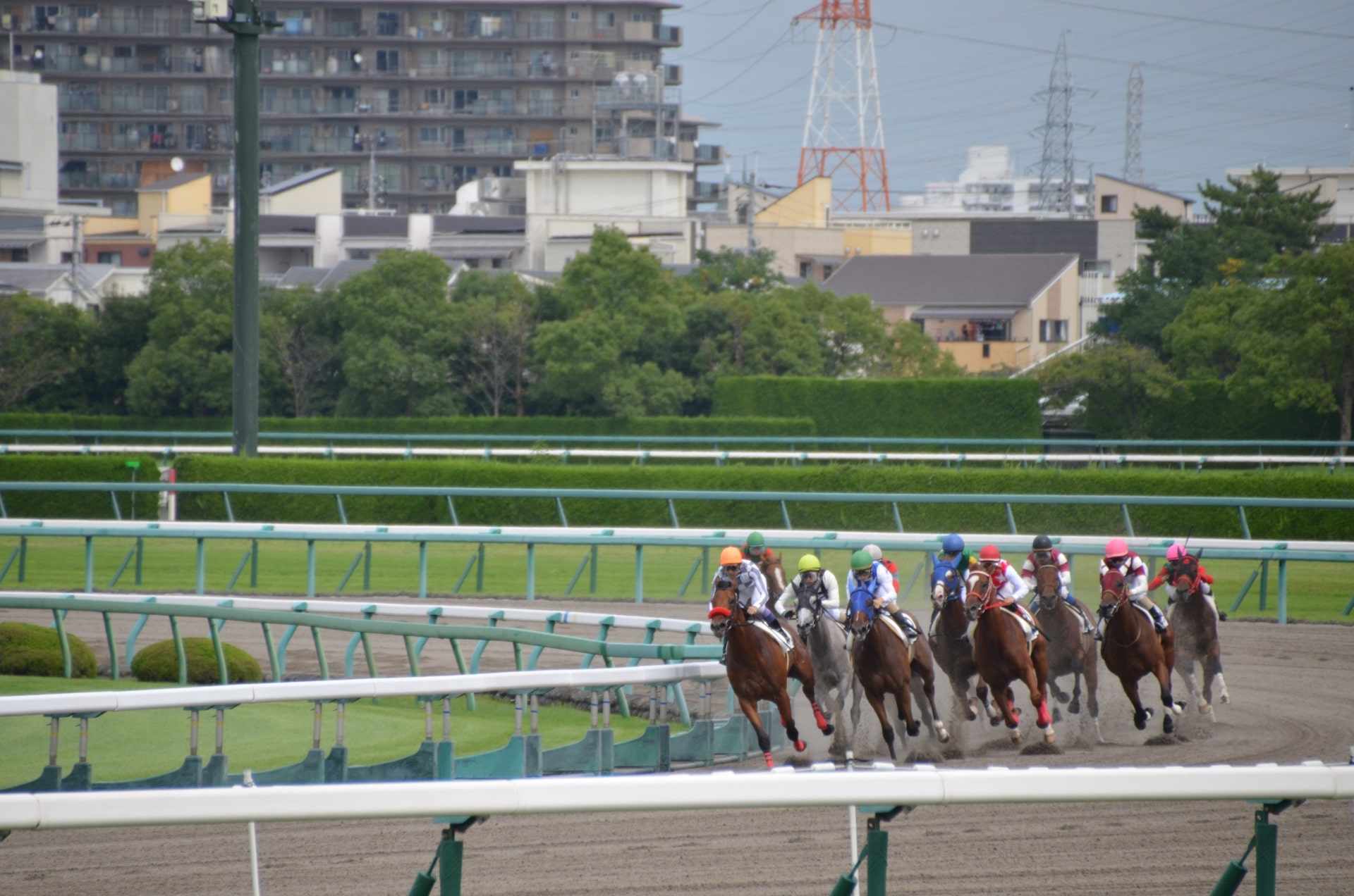 Gambling Rules Japan