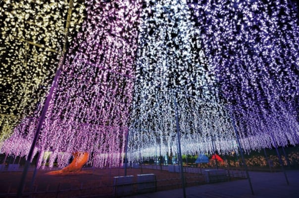 Ashikaga Flower Park Illumination