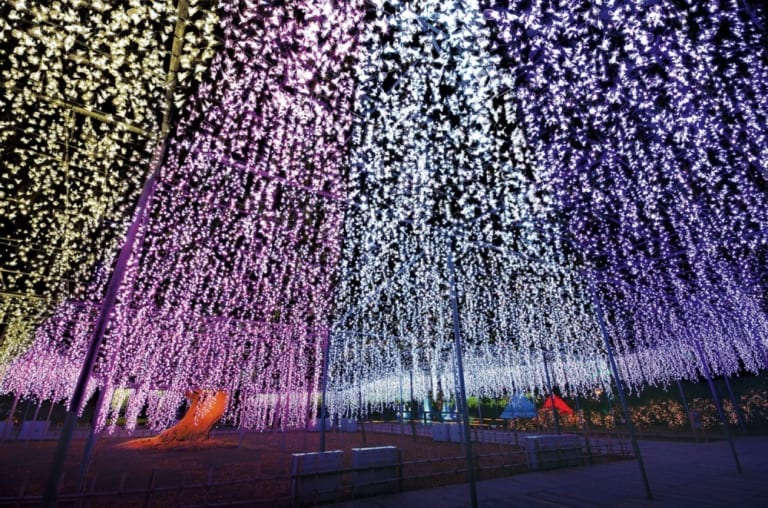 Ashikaga Flower Park Illumination 20232024 Japan Web Magazine