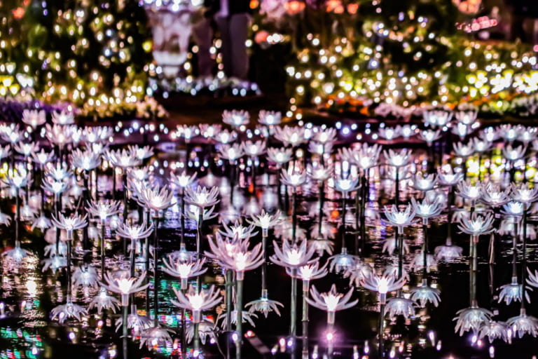 Ashikaga Flower Park Illumination 20232024 Japan Web Magazine