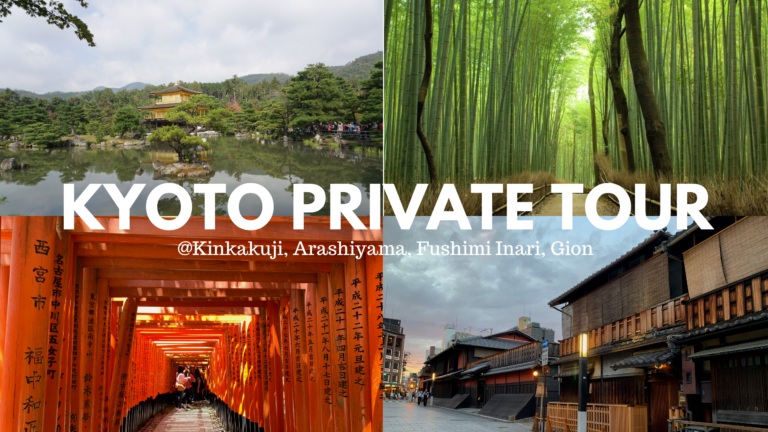 Best One Day Private Tour in Kyoto