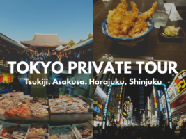 Best Private Tour in Tokyo in 1 Day