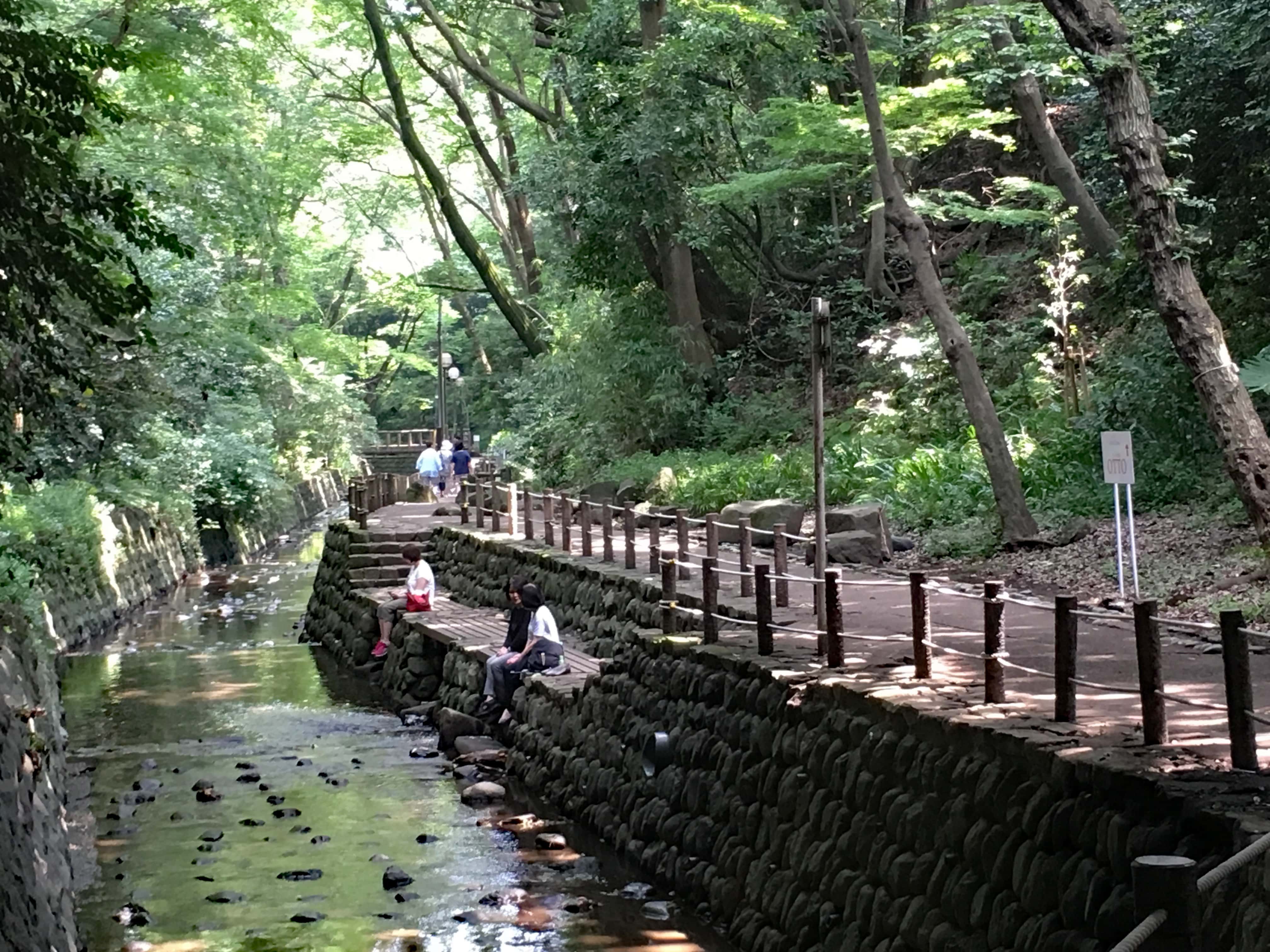 Todoroki valley