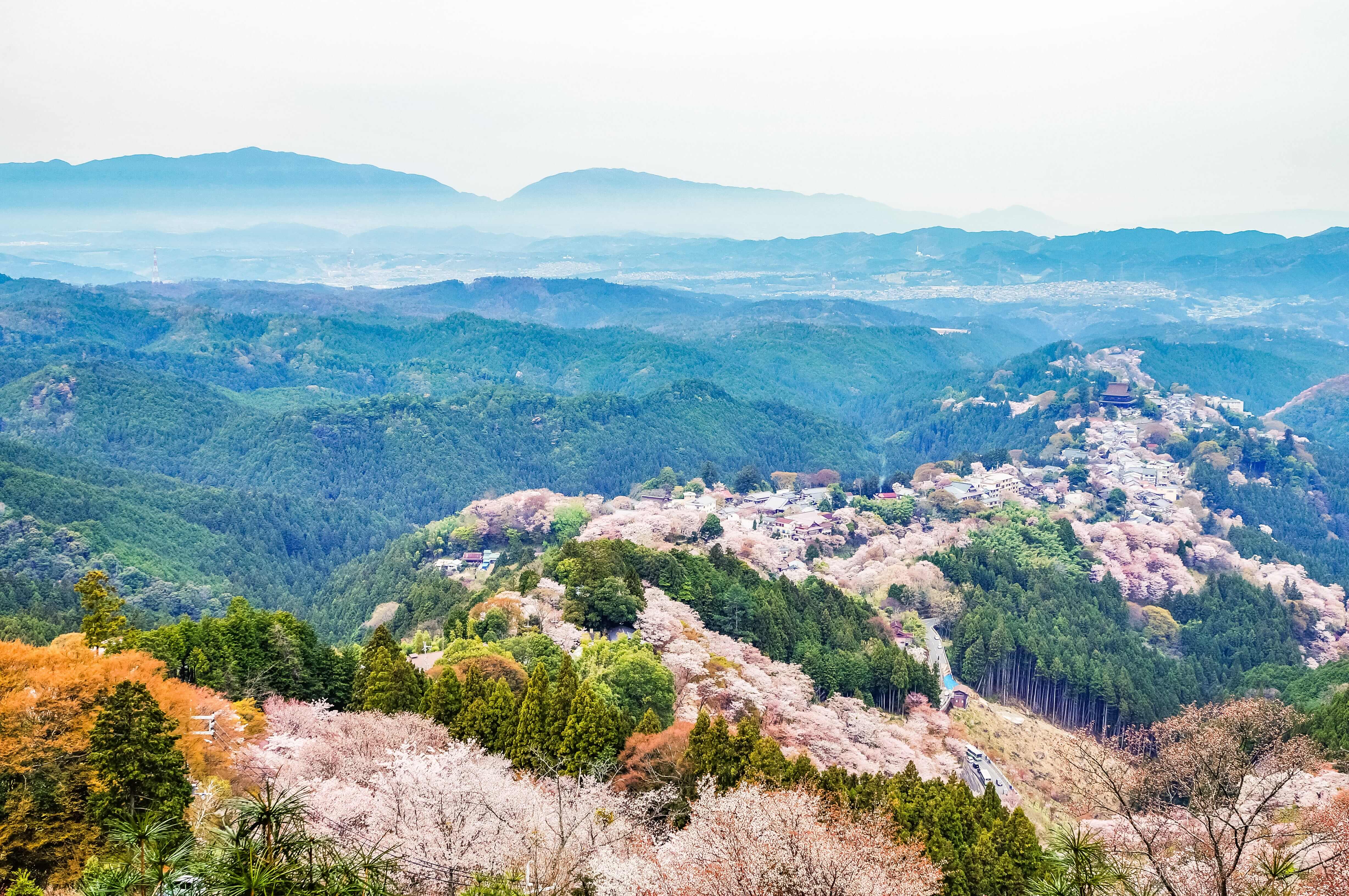 Mt.Yoshino