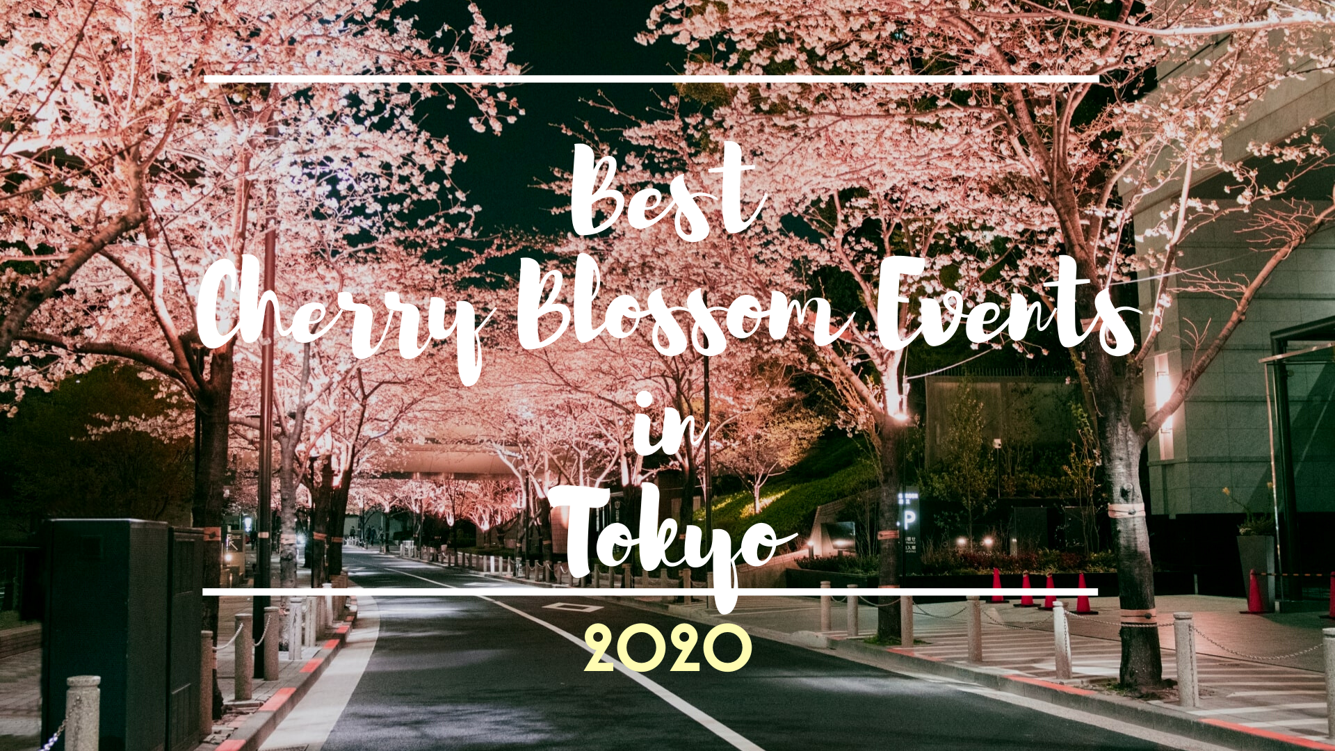 Best Cherry Blossom Events in Tokyo 2020