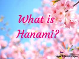 What is Hanami?
