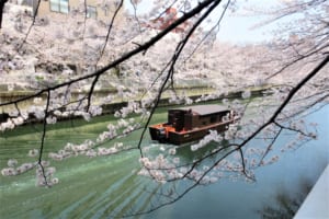 7 Hidden Cherry Blossom Spots in Tokyo