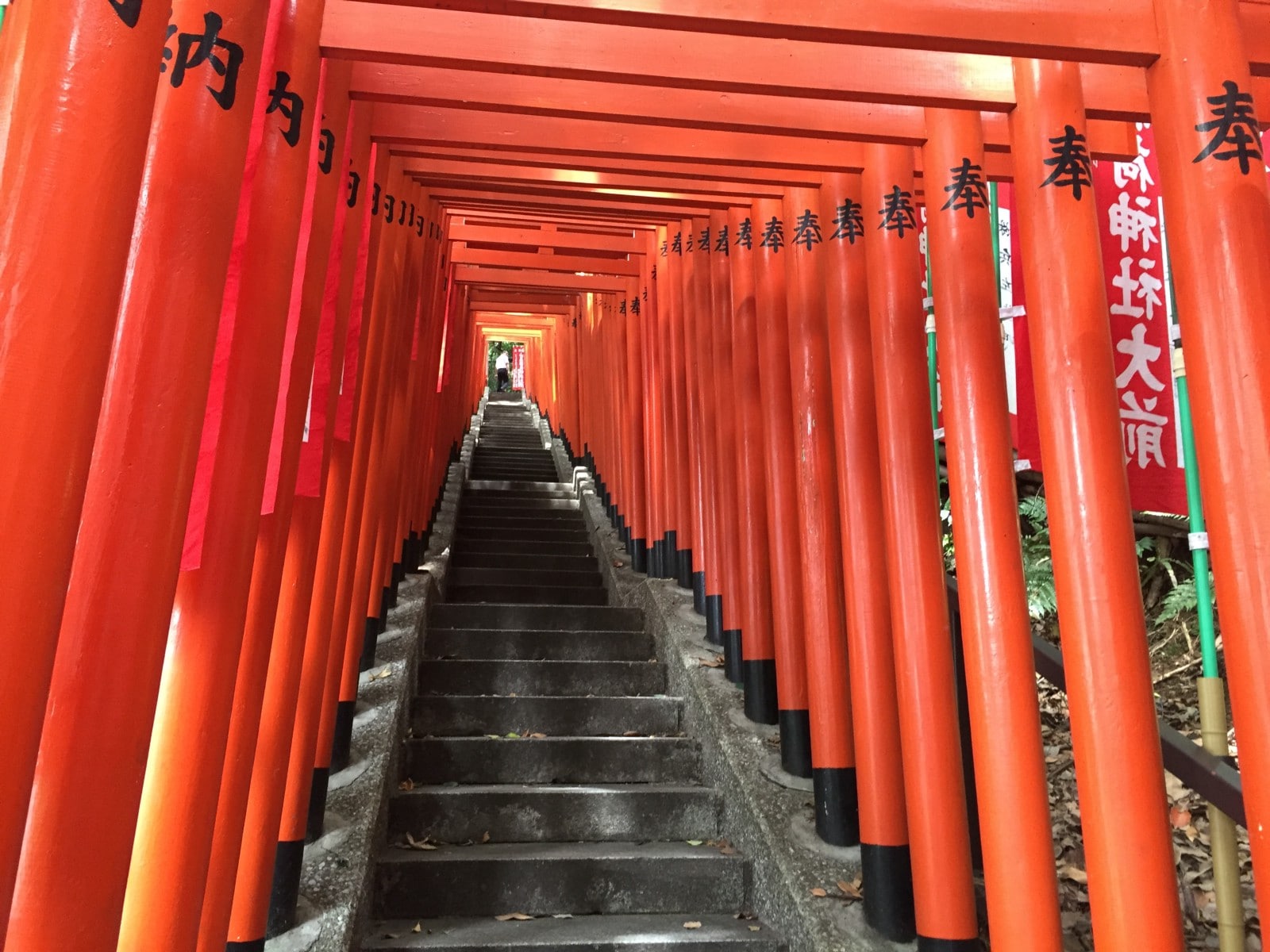 Torii gates at Hie Shrine