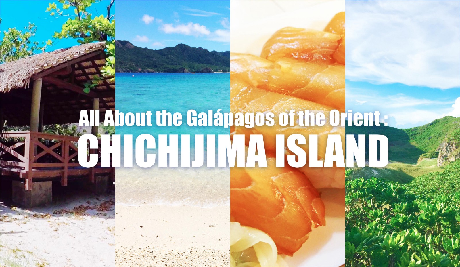 Things to Do in Chichijima Island