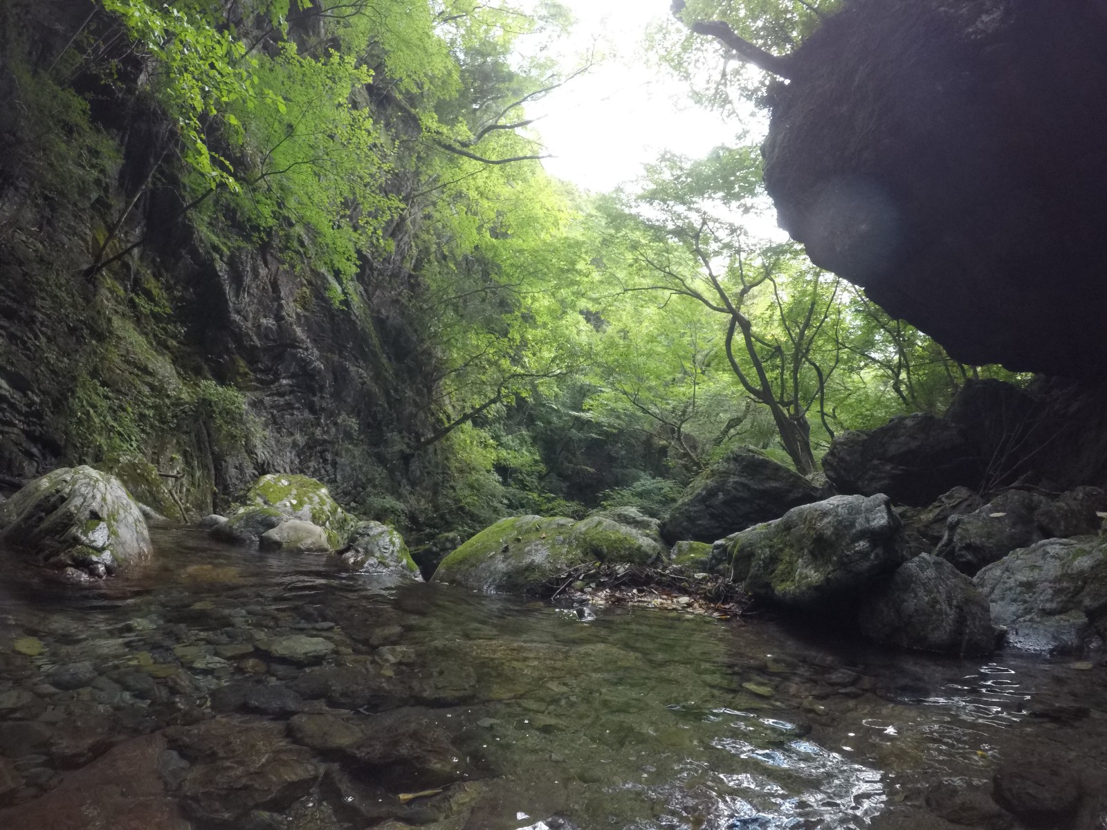 Canyon in Okutama