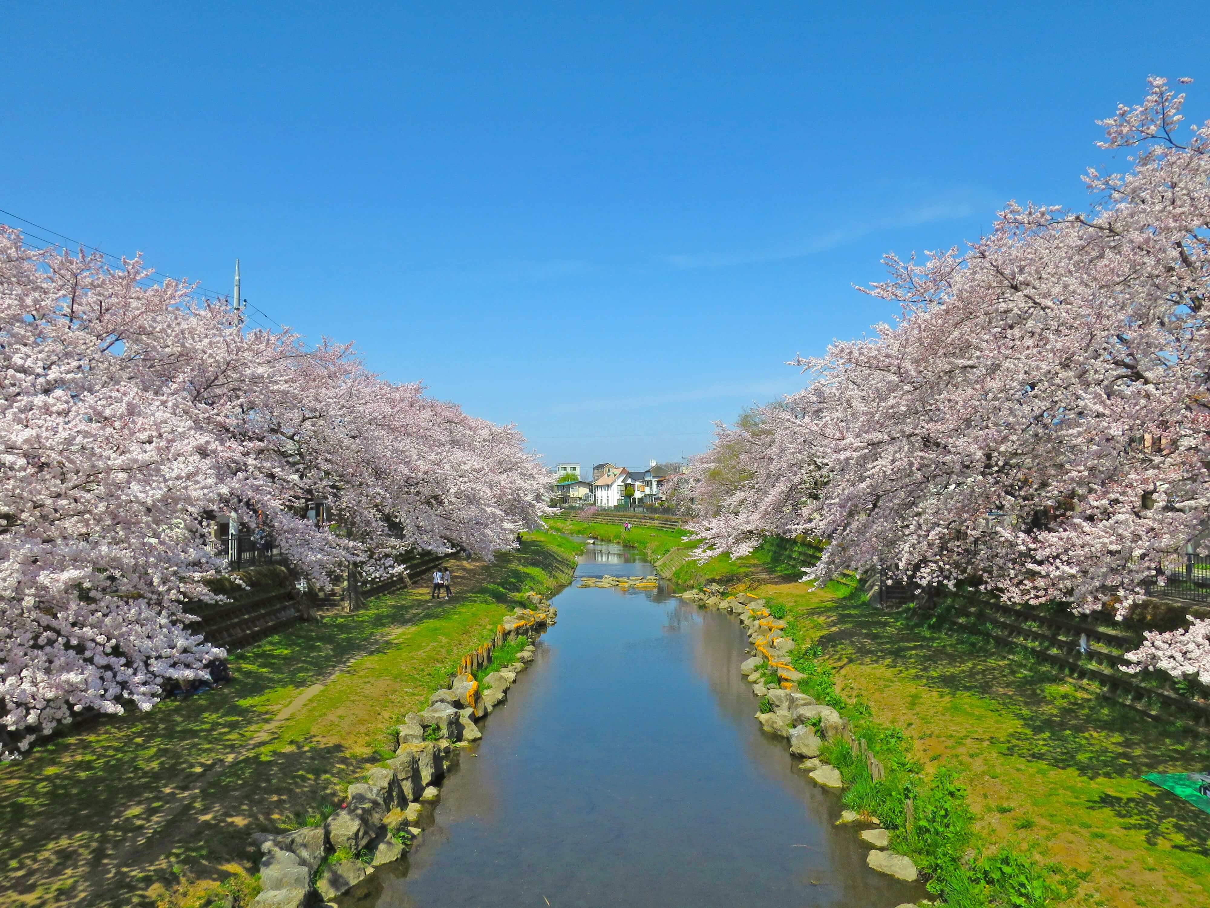 Unwind with Unique Experiences in Tokyo’s Tama Area - Japan Web Magazine