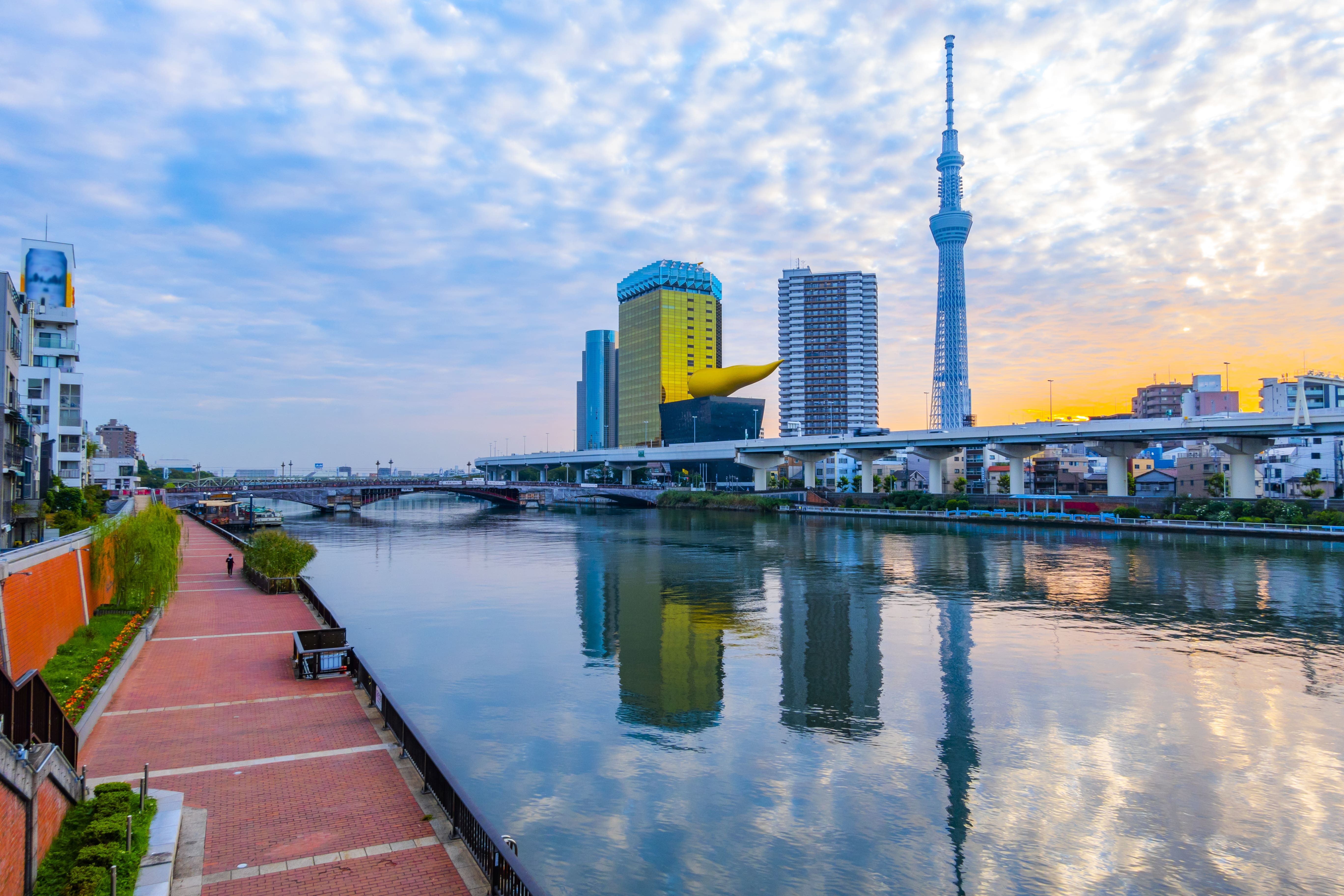 Tokyo Skytree from far