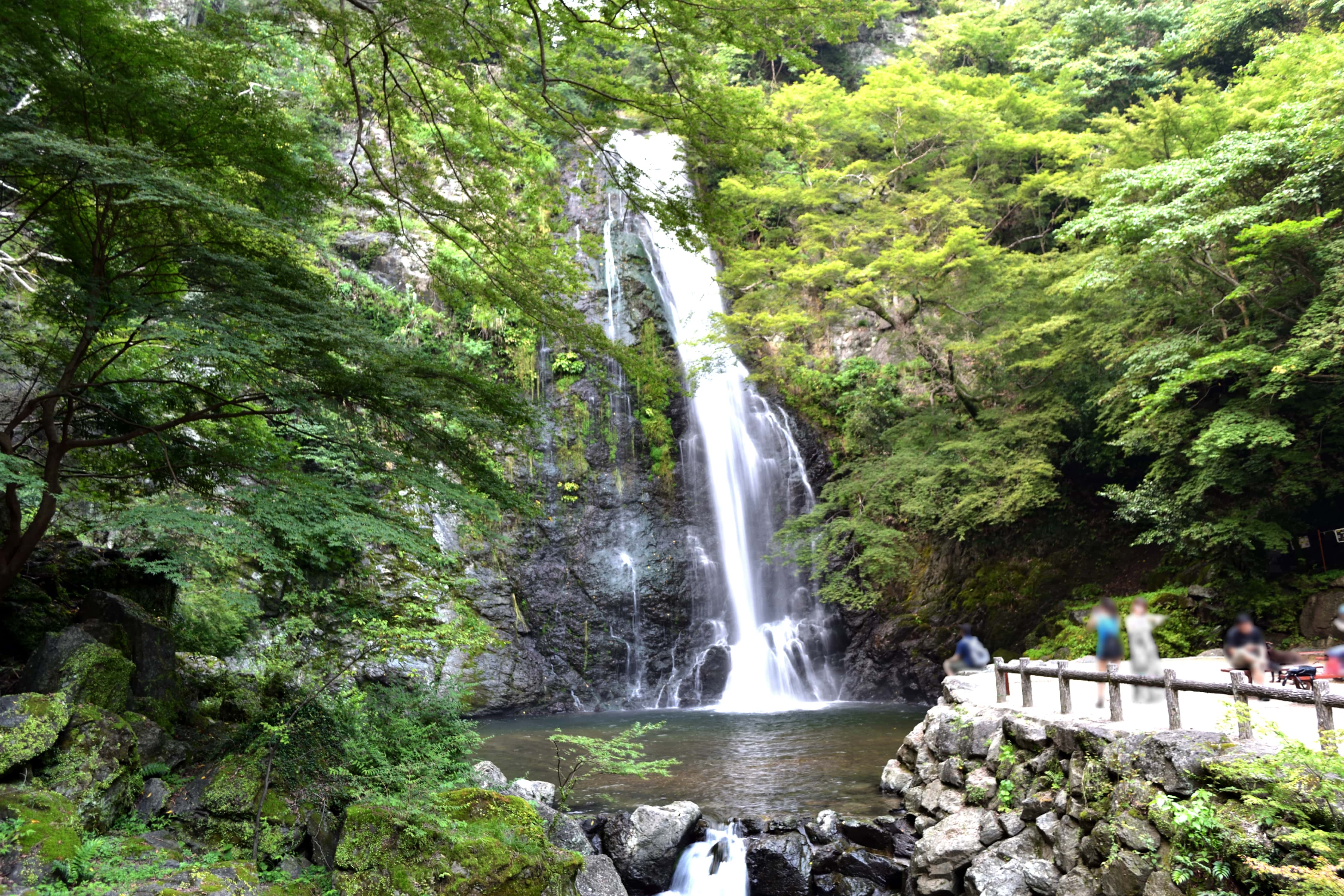 Minoo Park: Vast Nature Near Central Osaka