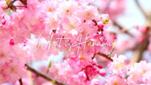 What is Hanami?