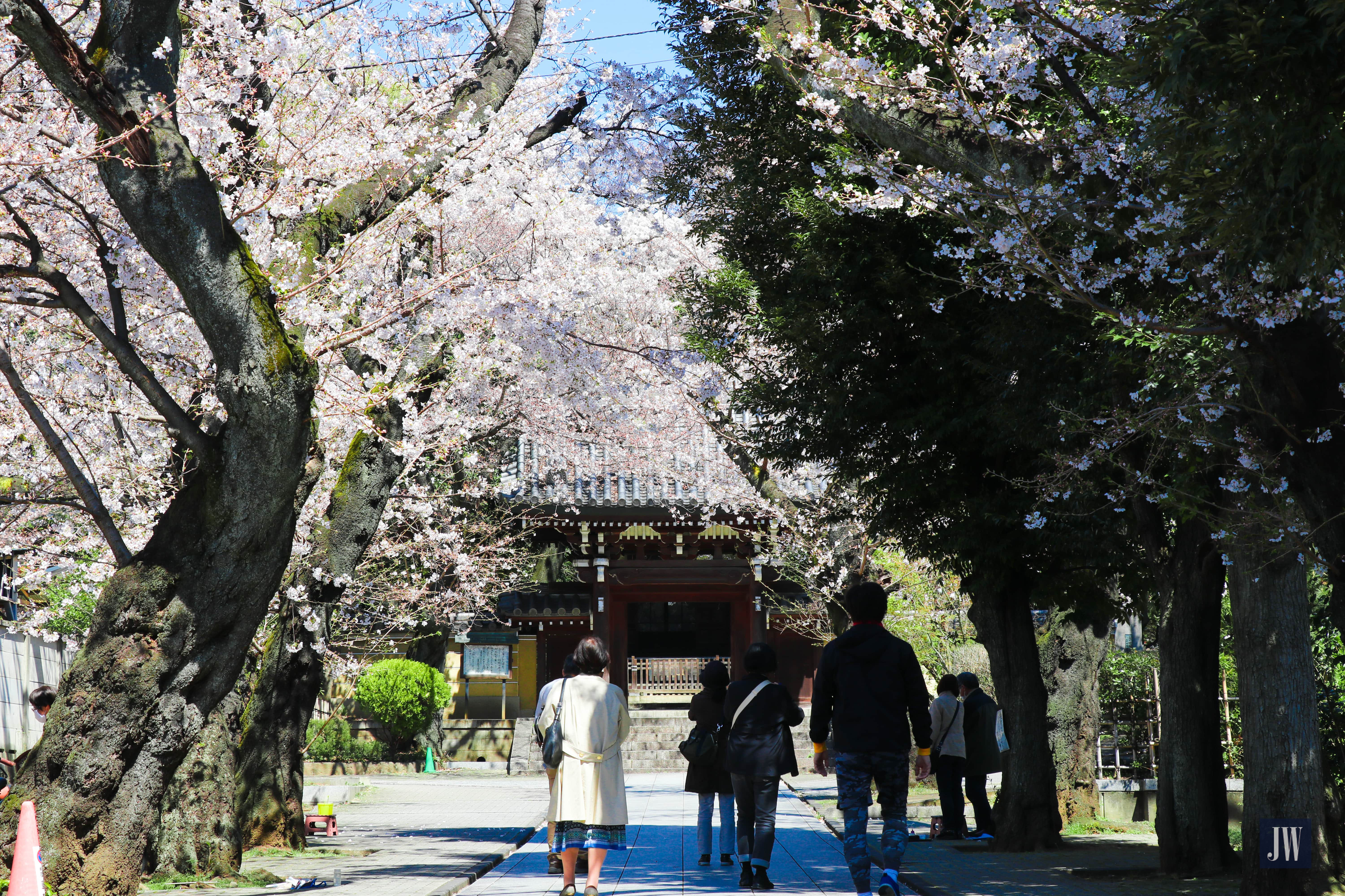 Homyo-ji Temple