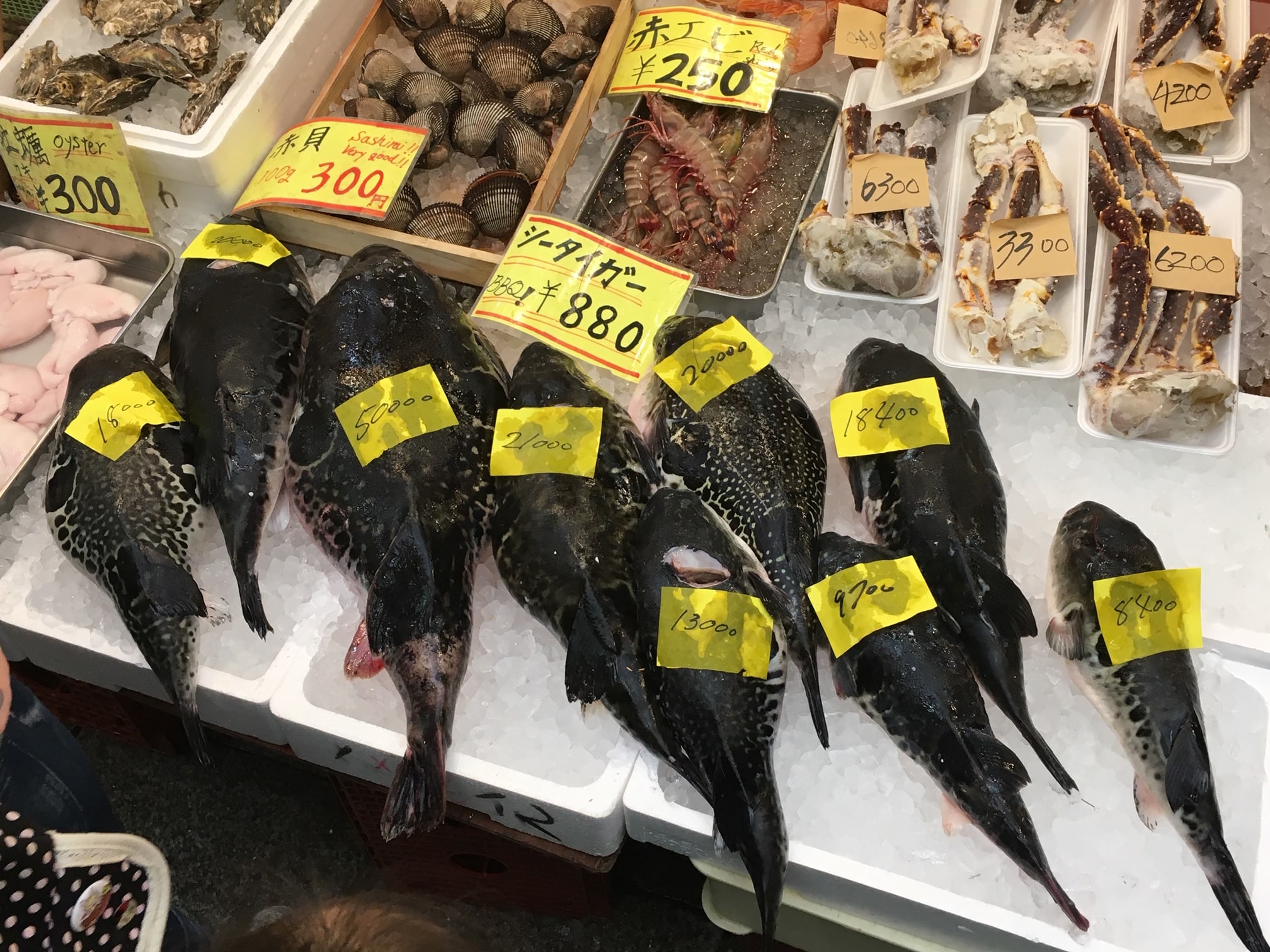 Raw fish at Kuromon Market