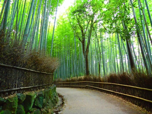 5 Days Itinerary in Kyoto - Japan Web Magazine