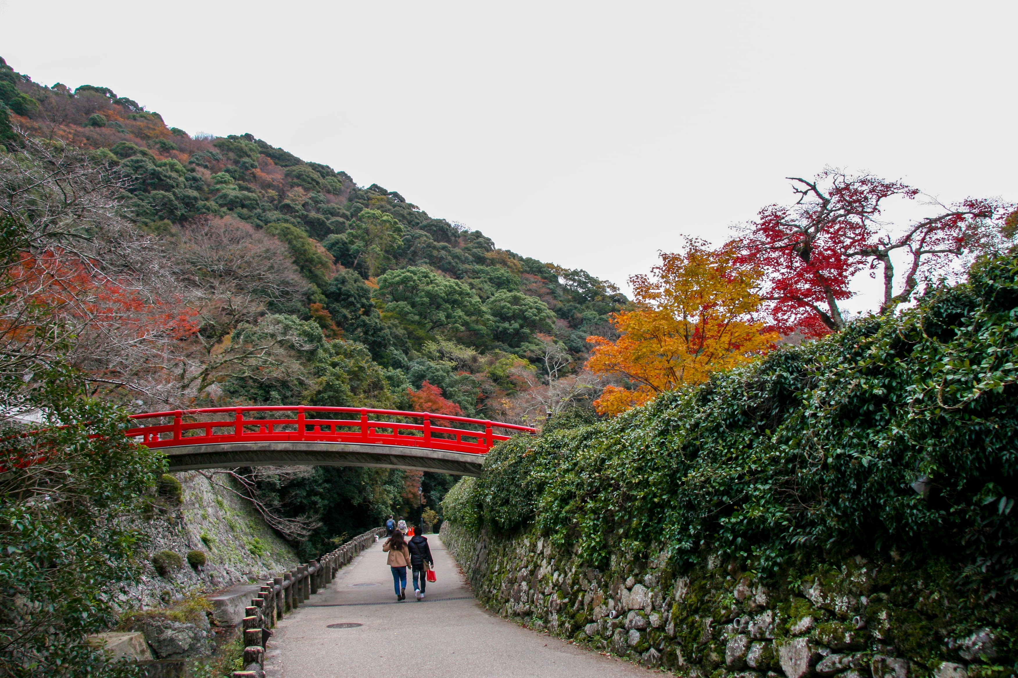 Path within Minoo Park