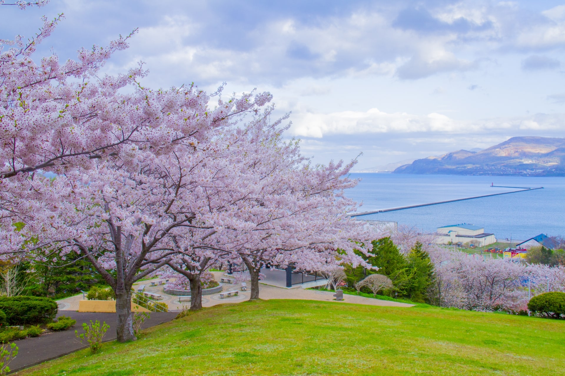 Best Cherry Blossom Spots in Hokkaido 2020