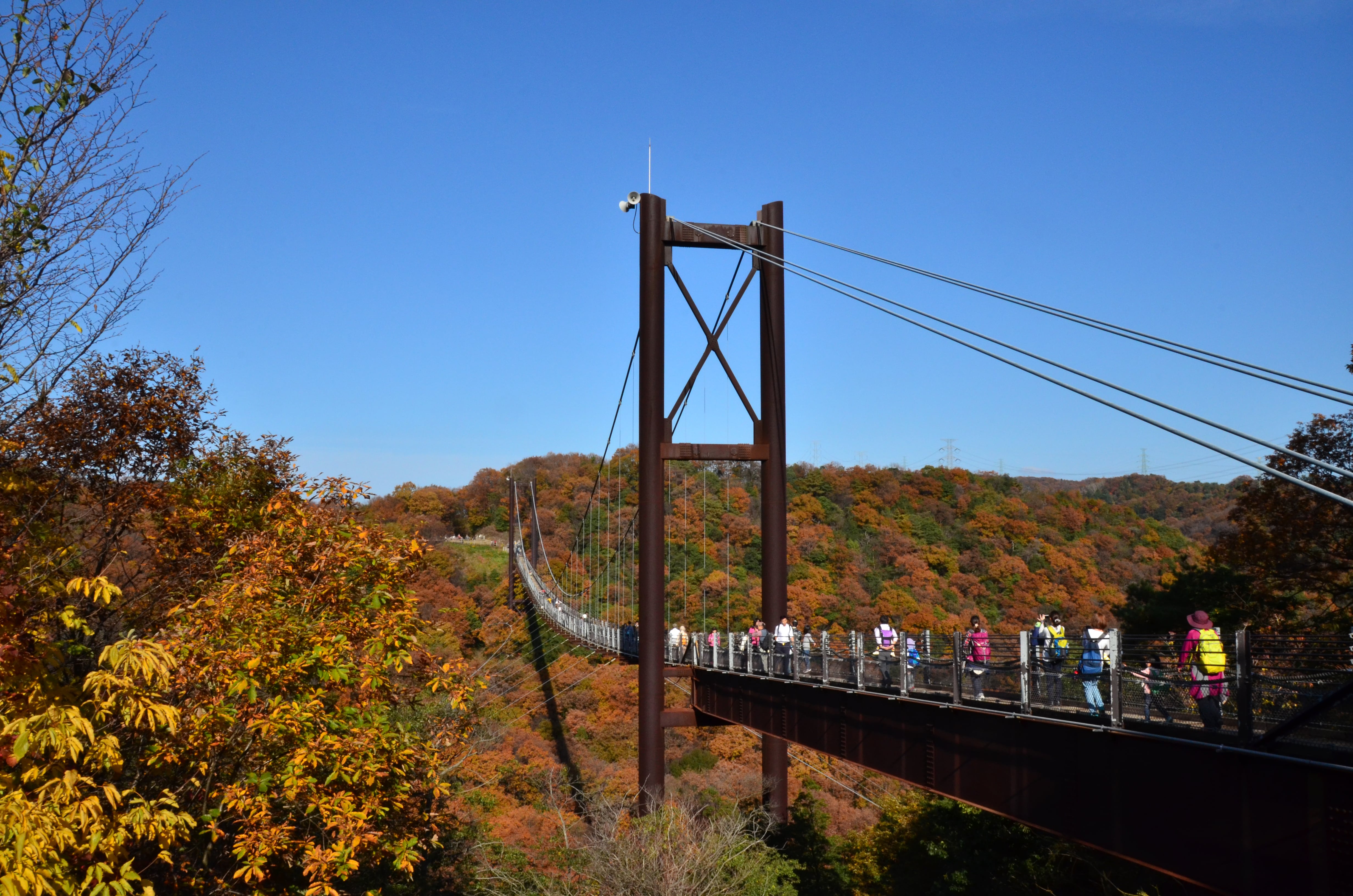 Hoshida Park bridge