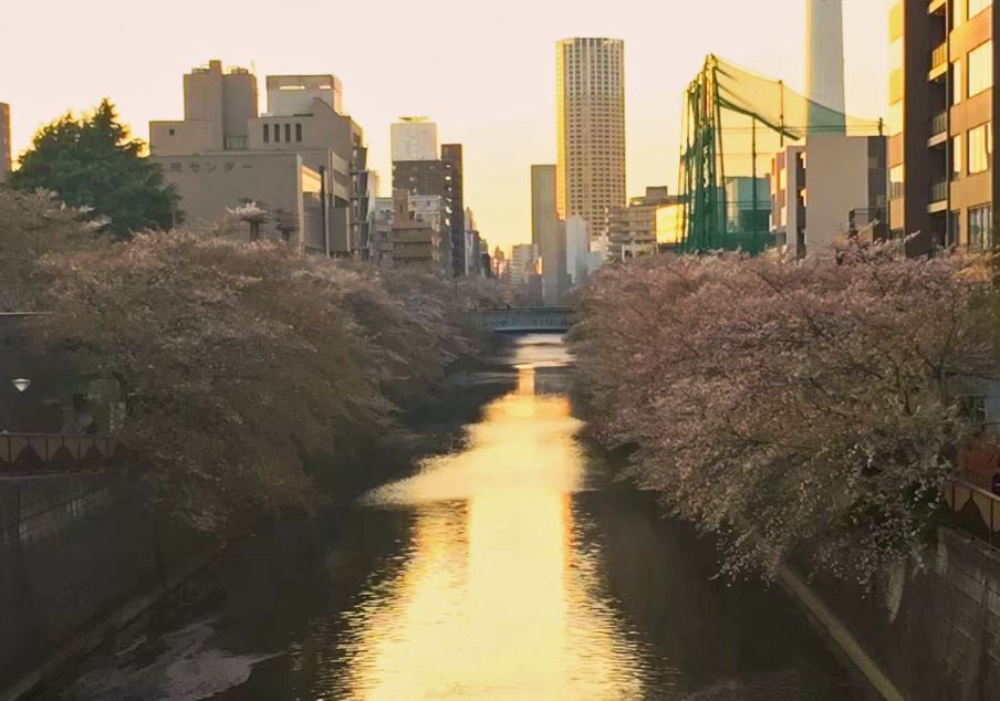 Meguro view