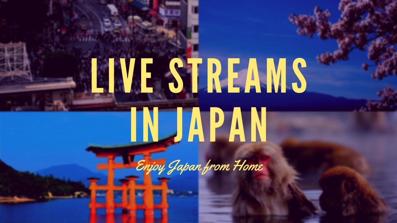 Live Streaming Japan: Enjoy the Best Tourist Attractions at Home - Japan  Web Magazine