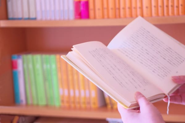 Modern Japanese Novels In English