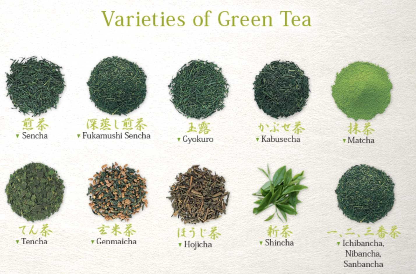 Чай сорта и виды. Сорта зеленого чая. Зеленый чай названия. Типы зеленого чая. Зеленый чай виды и сорта.