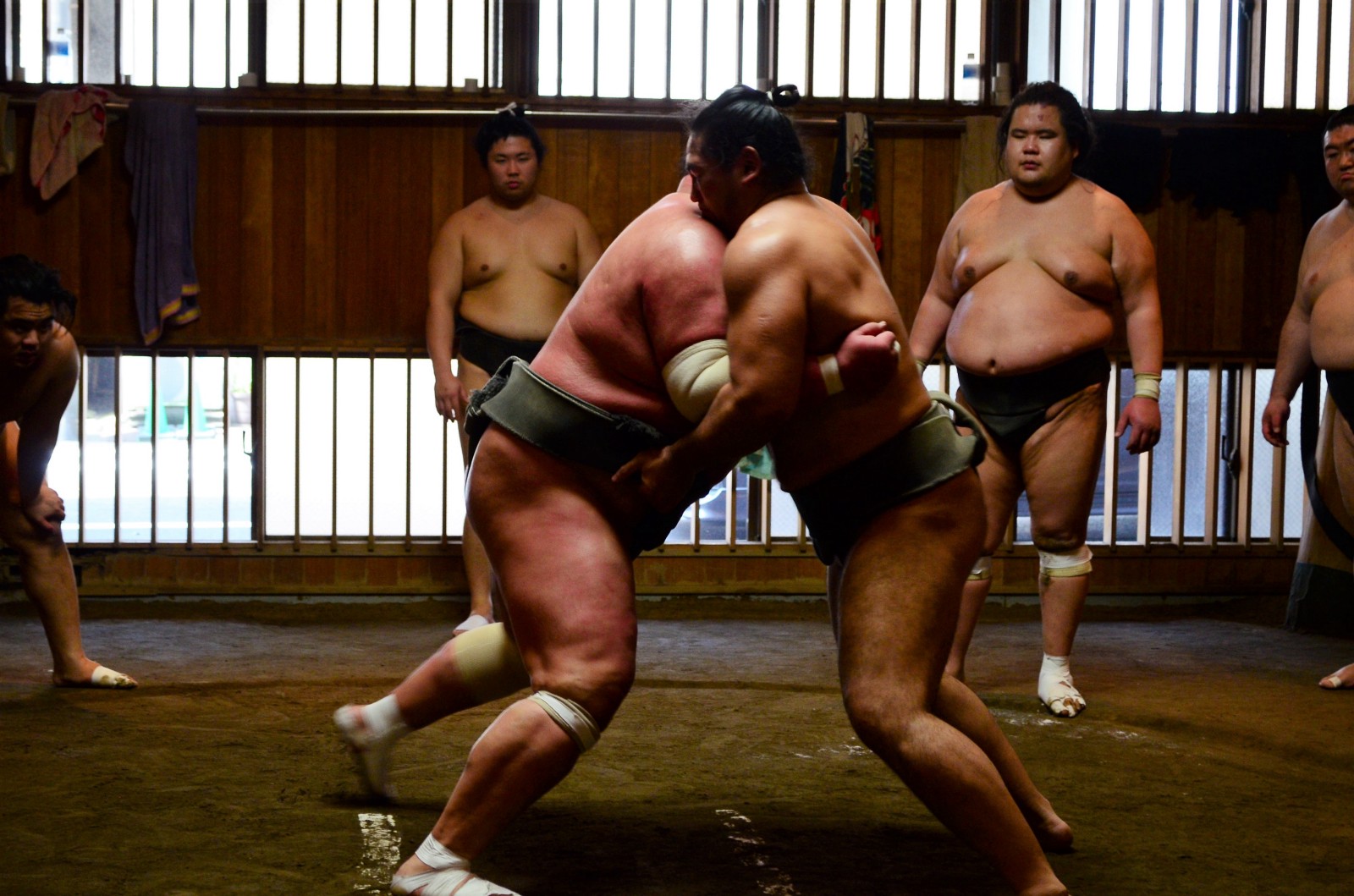 Sumo Training