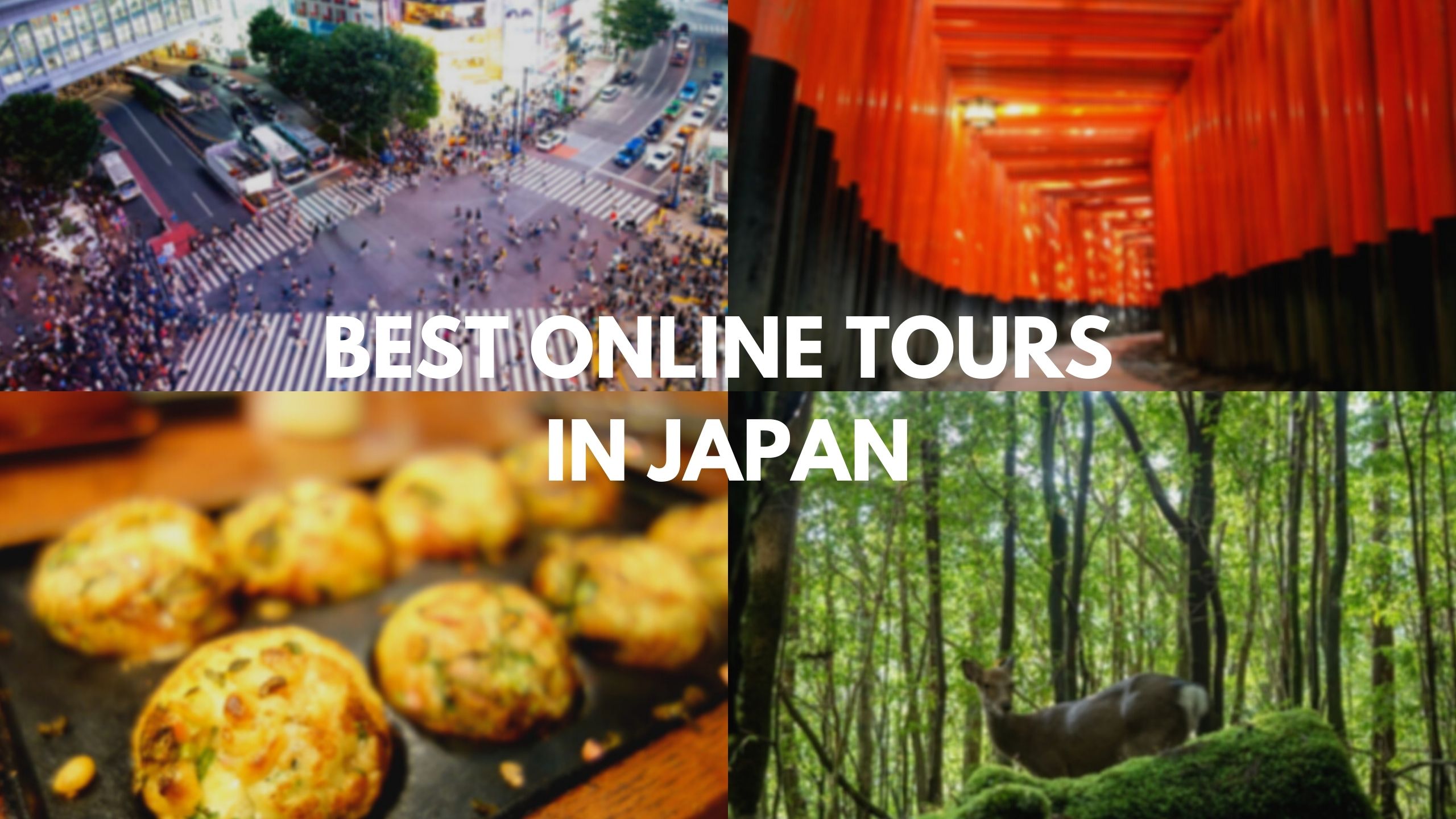 virtual tours japan