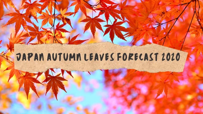 Japan Autumn Leaves Forecast 2020 - Japan Web Magazine