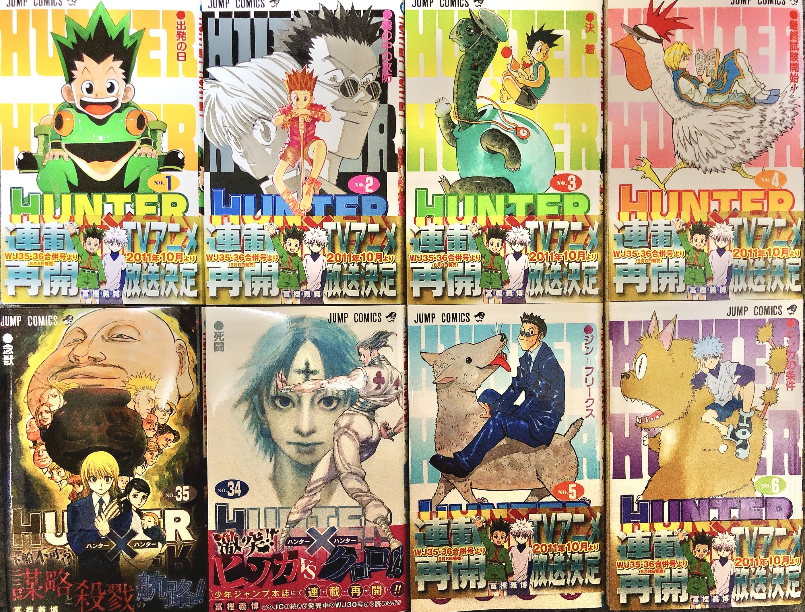 Hunter X Hunter Manga Is Still Ongoing