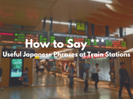 Useful Japanese Phrases to use at Train Stations