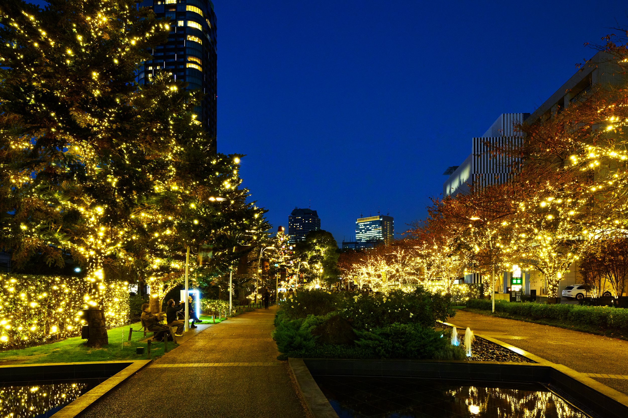 2023/2024 Winter Illuminations in Tokyo