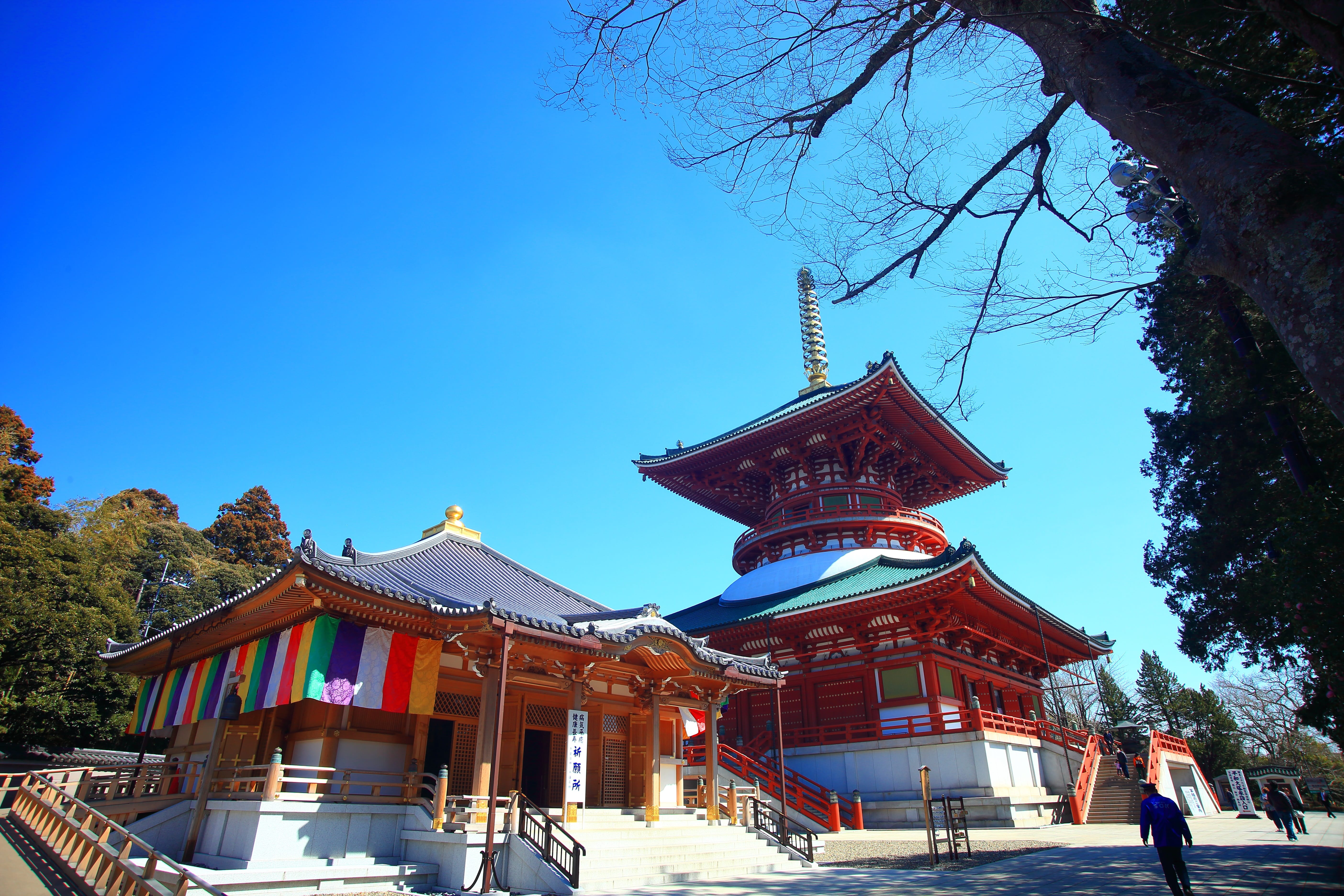 Narita Shinshoji Temple 