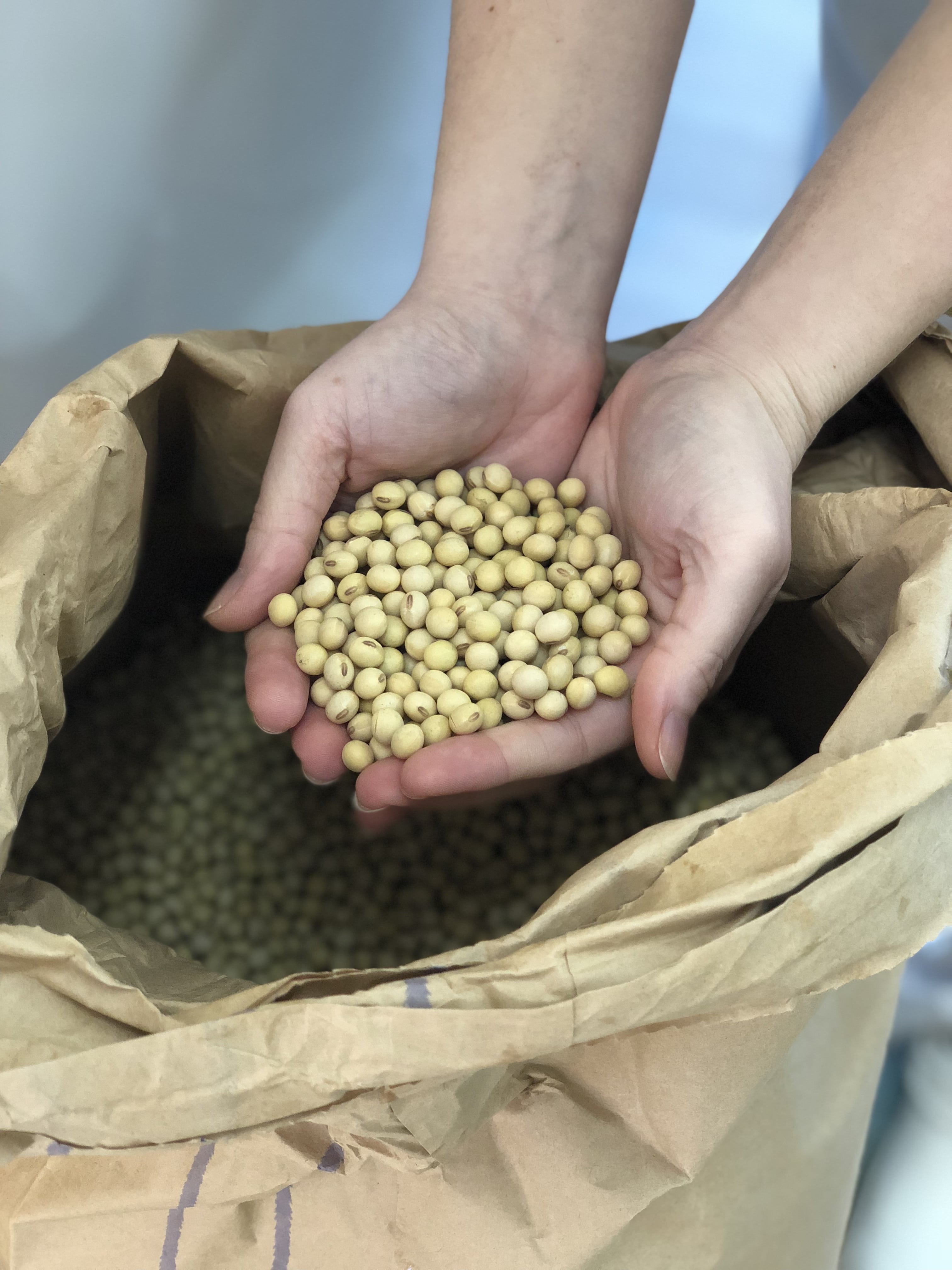 localy grown soybeans