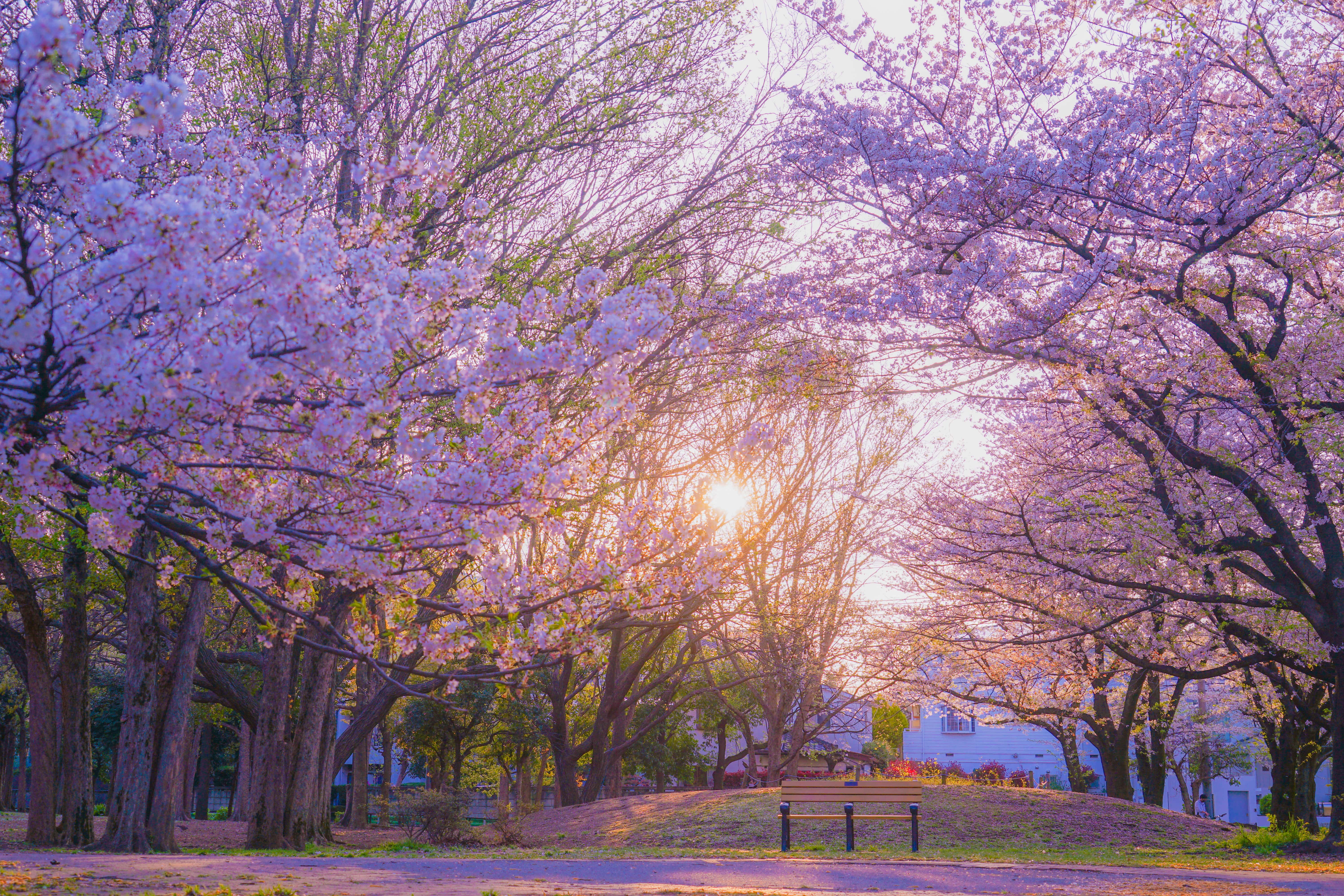 zenfukuji park