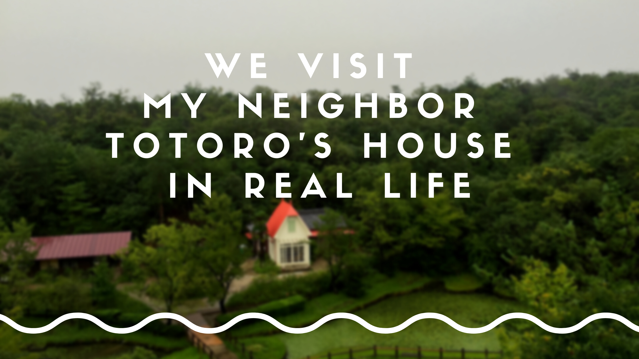 We Visit My Neighbor Totoro’s House in Real Life