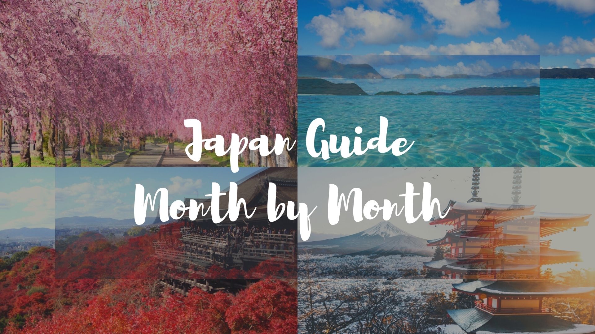 Japan by Month: The Best Time to Visit Japan