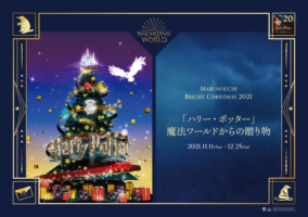 Harry Potter Christmas Illumination in Tokyo 