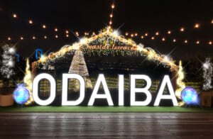 Odaiba Winter illumination