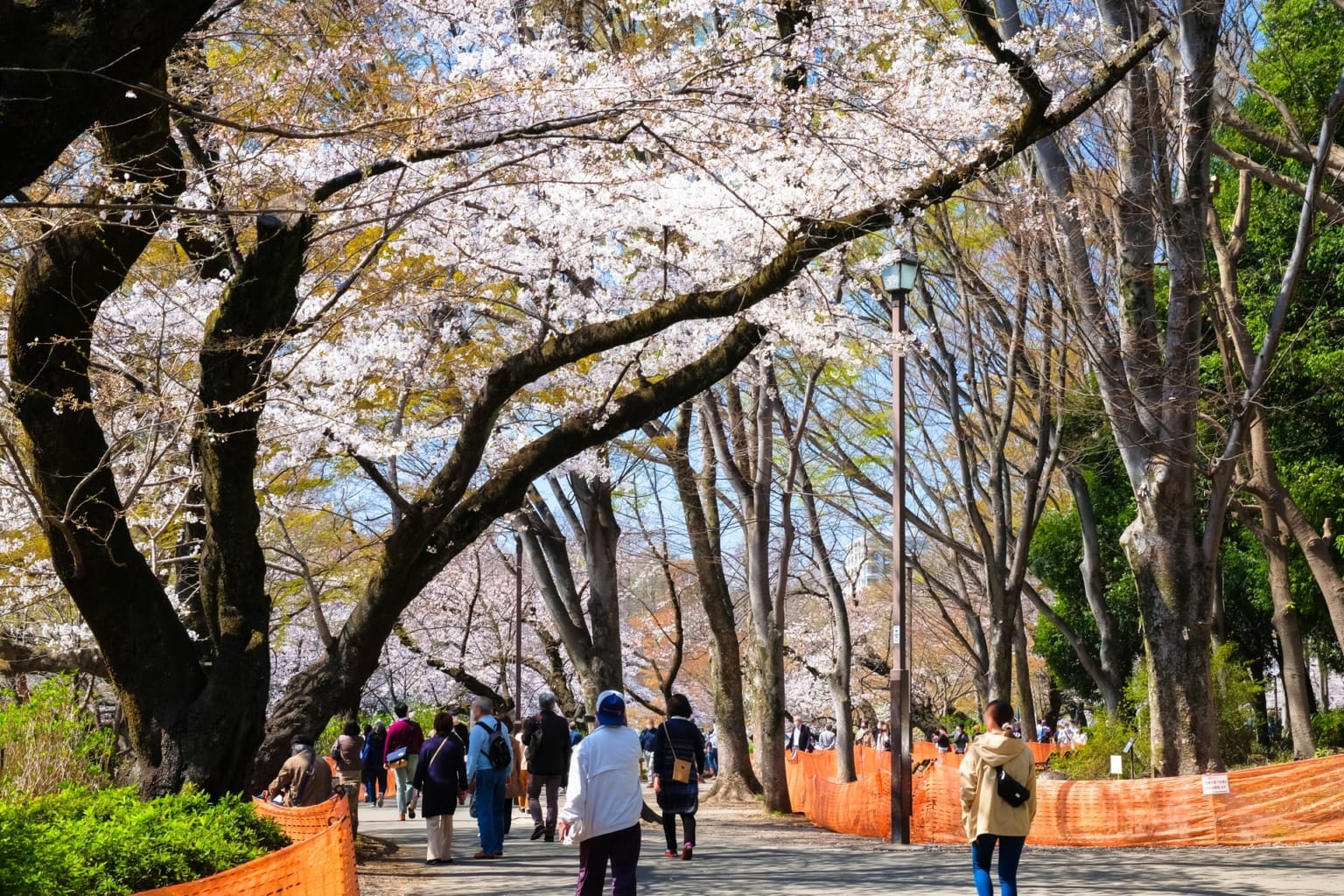 10 Best Apartments Foreigners Can Rent in Kichijoji Japan  Magazine