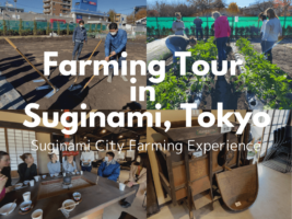 Farming Tour in Suginami City, Tokyo