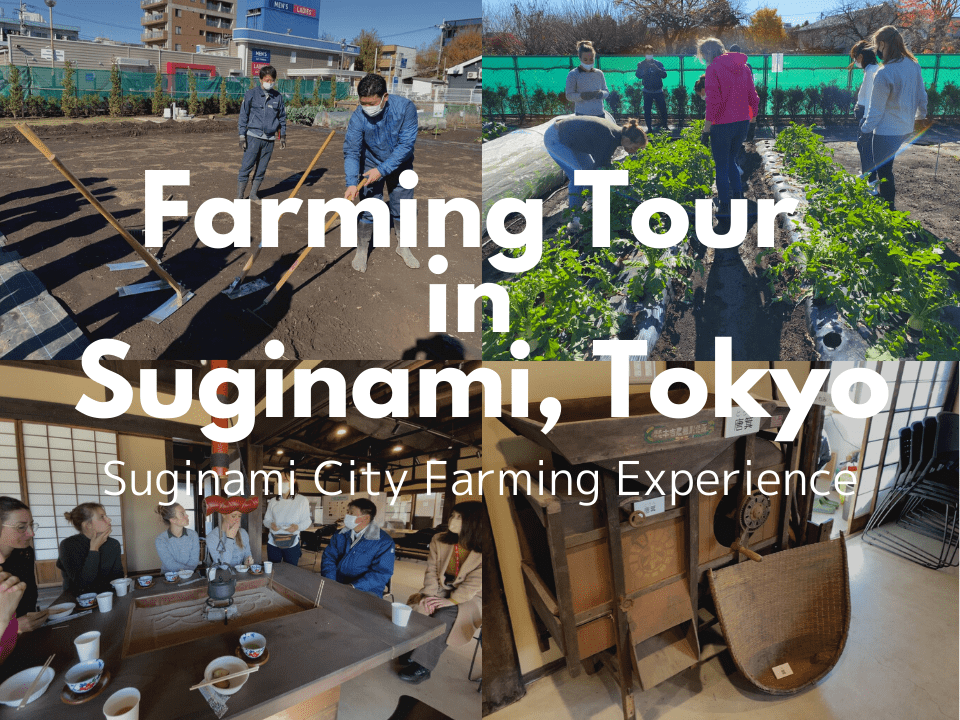 Farming Tour in Suginami city, Tokyo