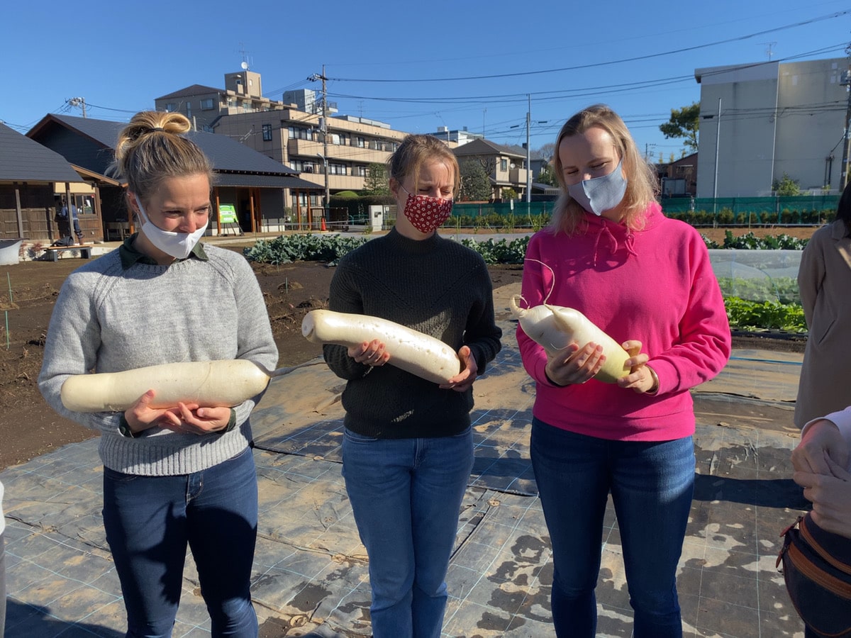 Farming Tour in Suginami city, Tokyo