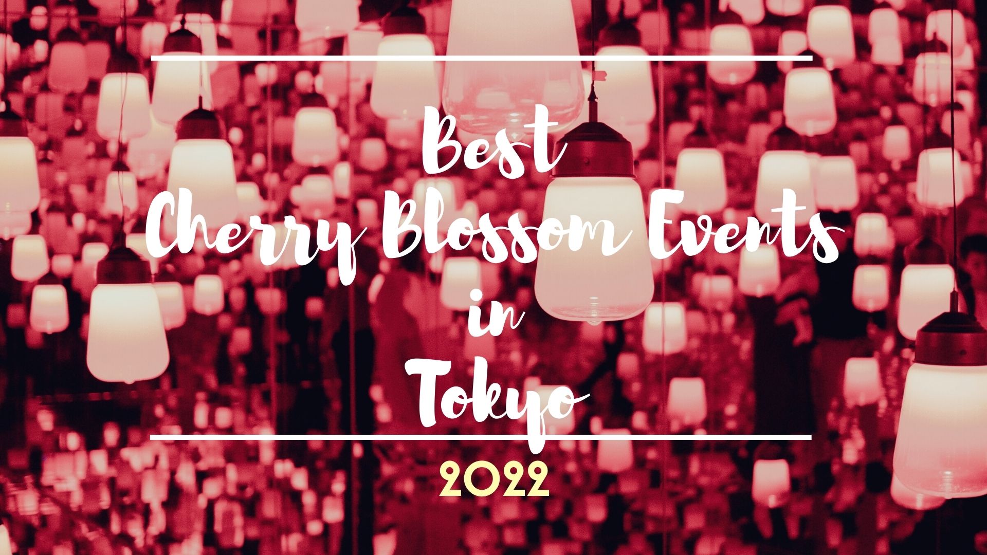 Best Cherry Blossom Events in Tokyo 2022